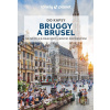Bruggy a Brusel do kapsy - Lonely Planet - Svojtka&Co.