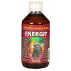 Benefeed Energit H 500 ml