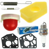BRIGGS STRATTON FILTER PUMPA MEMBRÁNA PRUŽINA BS