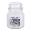 Yankee Candle Midnight Jasmine 411 g vonná svíčka