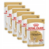 Sada Royal Canin Chihuahua Adult paštéta 6x85g