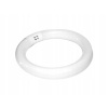 OSRAM žiarivka kruhová 22W, G10q, 4000K, 1250lm, Ra 80, LUMILUX T9 C