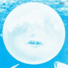 Wilco - Summerteeth / Deluxe / Vinyl / 5LP [2 LP]