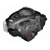 Motor Briggs&Stratton 450E Series OHV