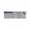 Hyalubrix viskoelastický intraartikulárny roztok 2 ml