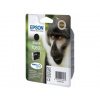 Epson T0891 Black - originálny