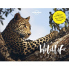 The A to Z Of Wildlife - Lonely Planet