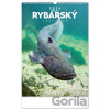 NOTIQUE Nástenný Rybársky 33 x 46 cm 2026