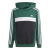 adidas Tiberio 3-Stripes Colourblock Hoodie Juniors Collegiate Gree 11-12 Years