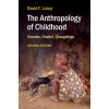 Anthropology of Childhood