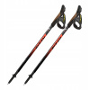 Palice na nordic walking Fizan Lite coral 60-132 cm