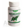 MORINGA OLEIFERA - Medika Pharm cps 1x90 ks