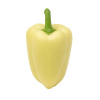 Paprika biela