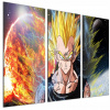 Nástenná maľba Dragon Ball 70x150 (Dragon Ball 70x150 Wall Image Rôzne vzory)