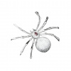 Brož Pavouk 36968 - Bílá / bižuterní kov, krystaly