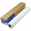 Epson C13S041387