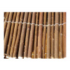 Strend Pro Garden 2210868 Plotová vrba, 1000 mm, L-5 m, proutí, taška