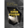 Keď diabol svieti na cestu - Karin Fossum