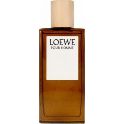 Loewe Loewe Pour Homme, Toaletná voda 100ml - Tester pre mužov
