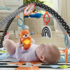 Fisher Price Hrací dečka s vydrou 3v1
