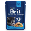 BRIT Premium cat Kapsička Kitten Chicken Chunks 100 g