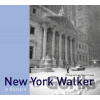 New York Walker in Blizzard - Martin Froyda