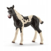 Schleich Farm Life Pinto Fohlen