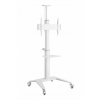TECHLY Mobilný stojan na TV 32-70 palcov 70 kg biely