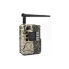 Bolyguard BG310-M