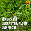 Vorox Weed-Free Express 500 ml