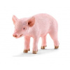 Schleich 13783 Prasátko stojící