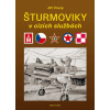 Šturmoviky v cizích službách - Jiří Vraný