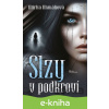 E-kniha Slzy v podkroví - Mirka Manáková