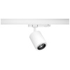 Paulmann Kratos LED pásové reflektory ProRail3 25 W LED biela; 96574