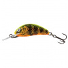 Salmo Hornet 03 F Gold Fluo Perch 3,5 cm