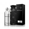 Montale Paris Wild Pears EDP 100 ml (unisex)