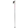 EXEL Spectra Grey/Red, hole na běžky Délka hůlek: 170 cm