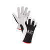 Canis CXS TECHNIK WINTER