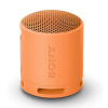Sony SRS-XB100