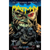 Batman: Já jsem zhouba