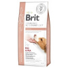 Brit Veterinary Diets GF Dog Renal 12 kg