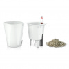 Lechuza geobra Lechuza Mini Deltini all-in-one set
