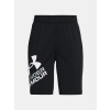 Chlapčenské kraťasy Under Armour Prototype 2.0 Logo Shorts Čierna YMD