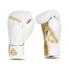 Boxerské rukavice DBX BUSHIDO B-2v19