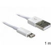 Delock USB napájecí a datový kabel iPhone 5, Lightning, bílý, 1m