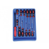 Genius Tools Sada skrutkovačov, hviezdicové a ploché hlavy + kliešte, 13 kusov (MS-013SP)