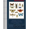 Insectile Inspiration Insects in Art and Illustration