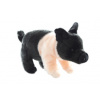 Prase 25 cm