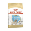 Granule pre psov Royal Canin Junior Chihuahua 1,5 kg