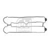 Tesnenie veka hlavy valcov Opel Astra H, Omega B, Vectra B FEBI BILSTEIN 15663 (Tesnenie veka hlavy valcov Opel Astra H, Omega B, Vectra B, Zafira A FEBI BILSTEIN 15663)